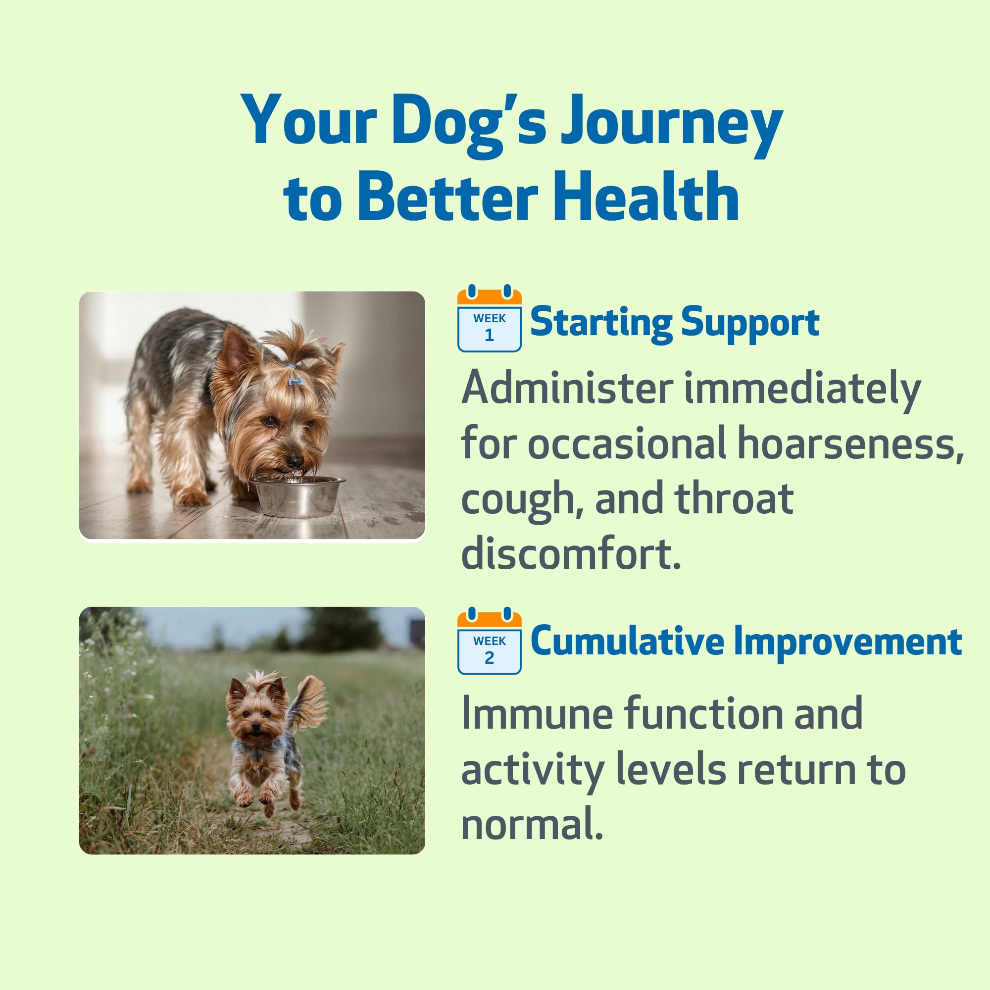 Pet Wellbeing Throat Gold – Orme glissant et feuilles pour soutenir les voies respiratoires.