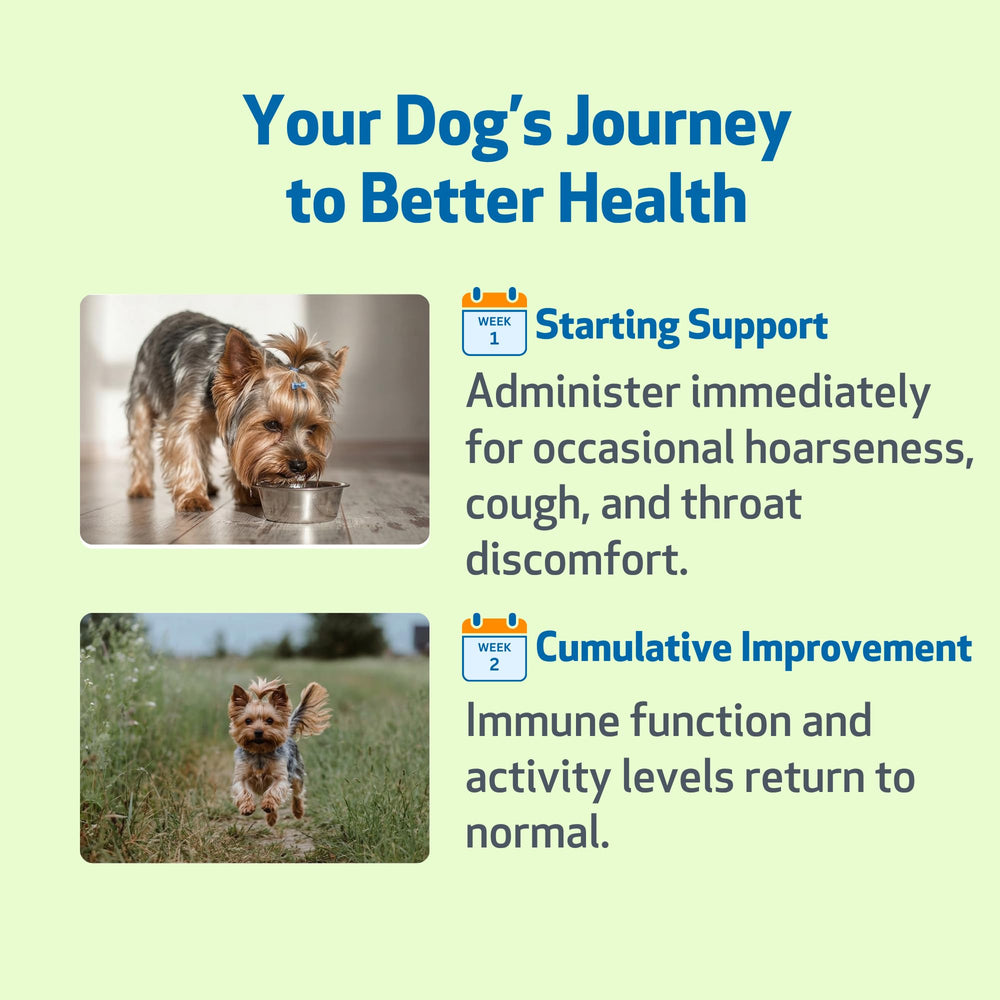 Pet Wellbeing Throat Gold – Orme glissant et feuilles pour soutenir les voies respiratoires.