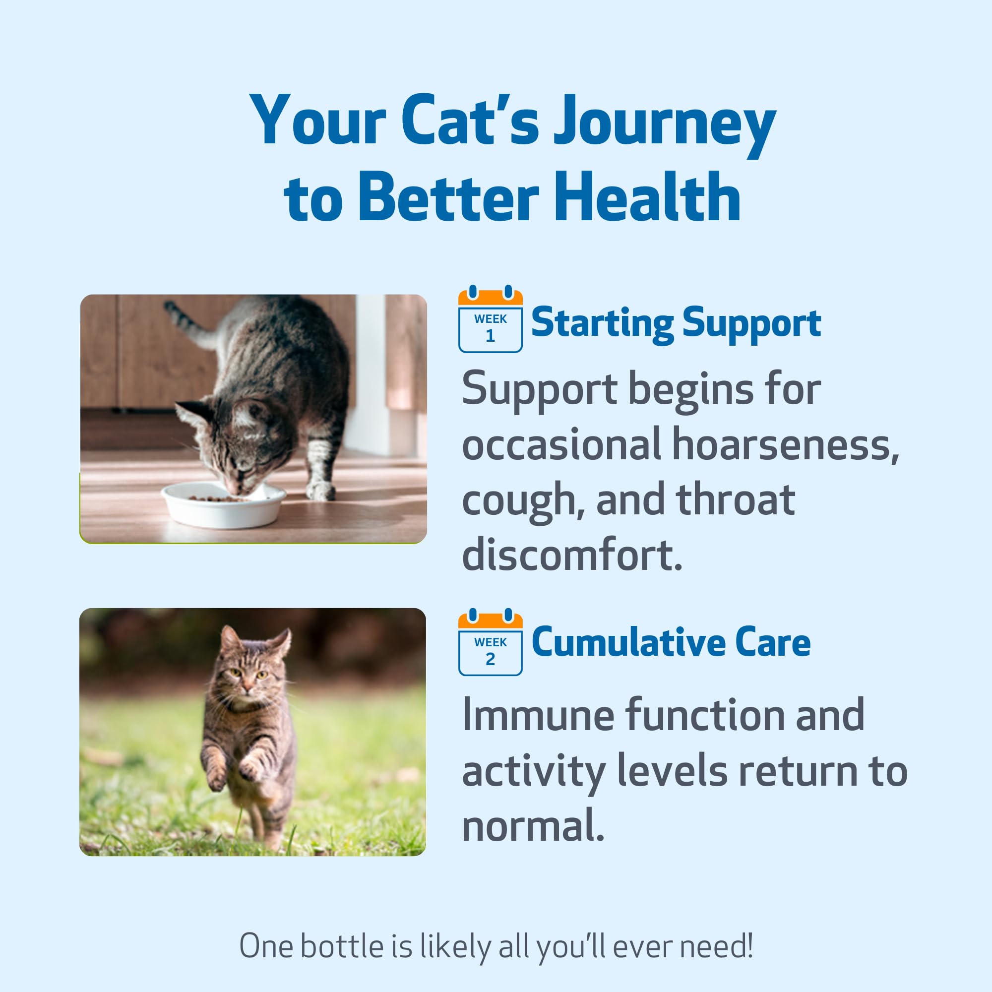 Pet Wellbeing Throat Gold – utilisation facile en administration chat.