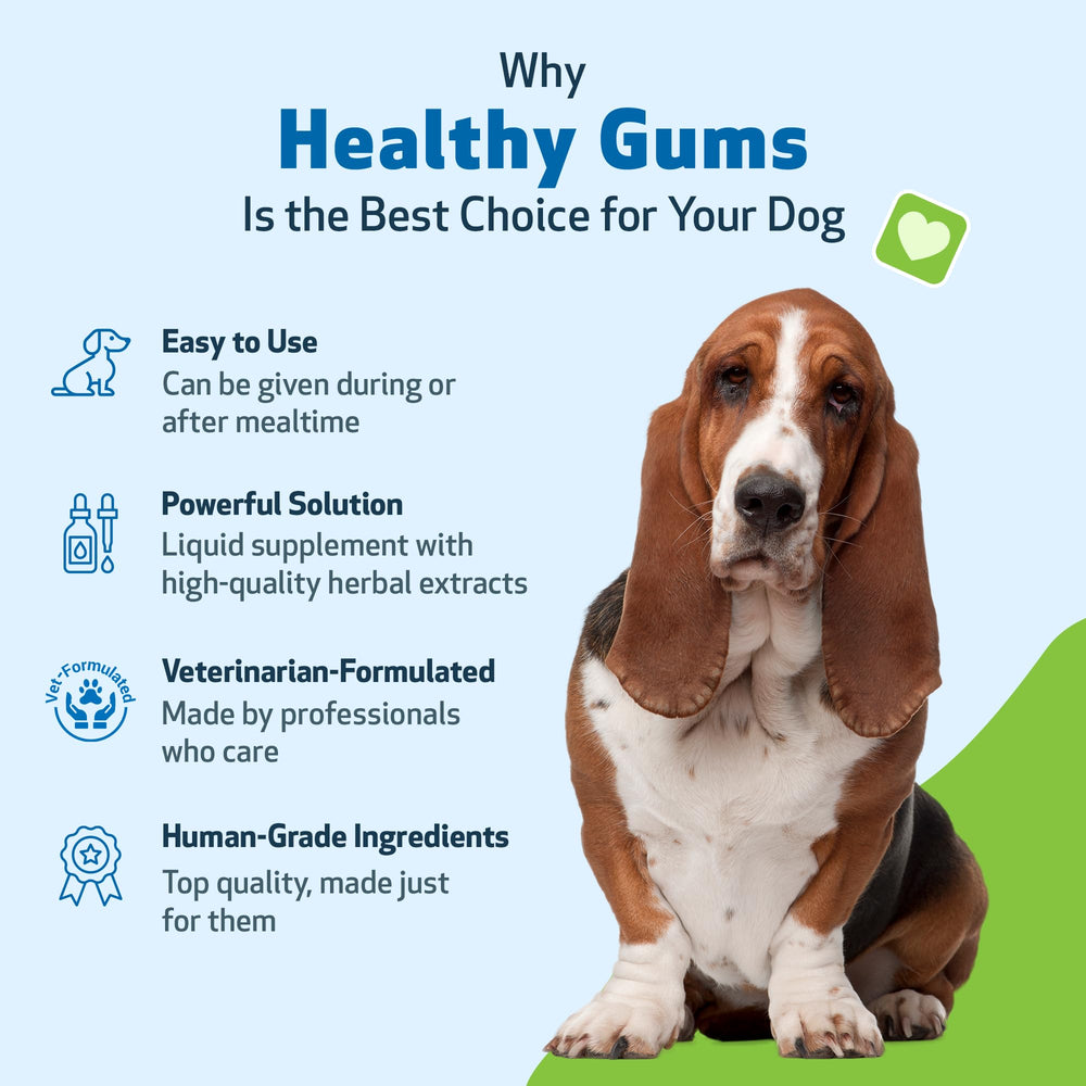 Pet Wellbeing usage quotidien facile pour soutenir la santé bucco-dentaire.