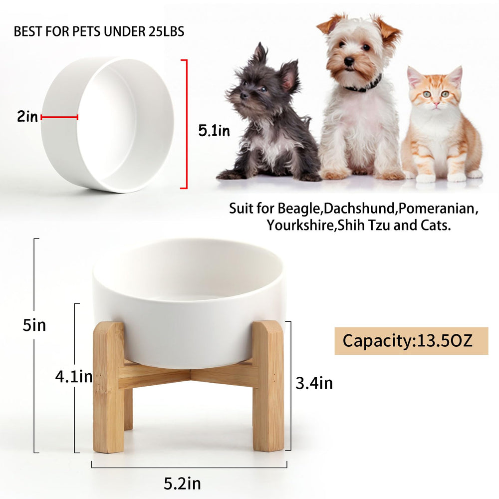 Bol Petygooing pour chats et petits chiens usage quotidien