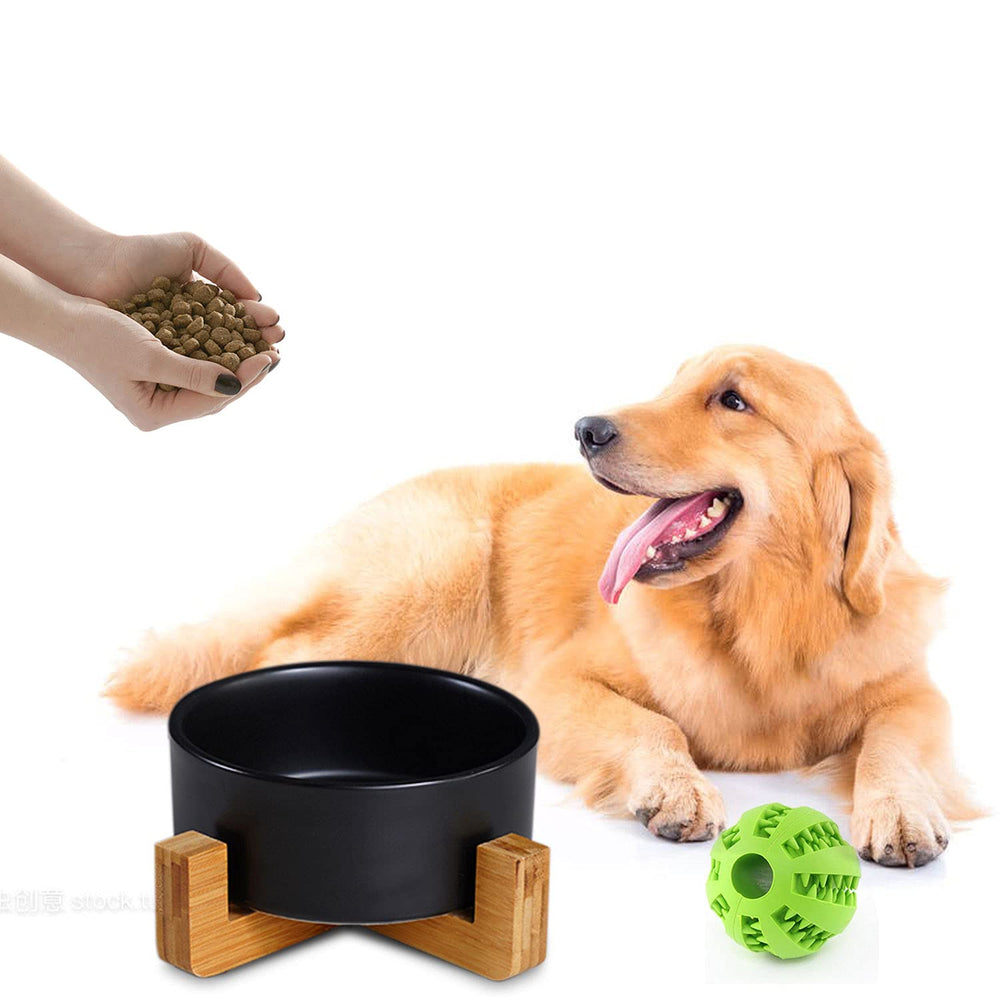 Petygooing bol décoratif pour cuisine et coin repas pour animal
