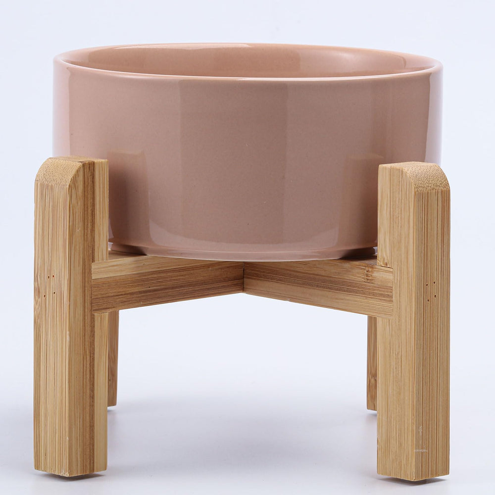 Bol élevé Petygooing en céramique pour petits chiens, design ergonomique pour dîner confortable.