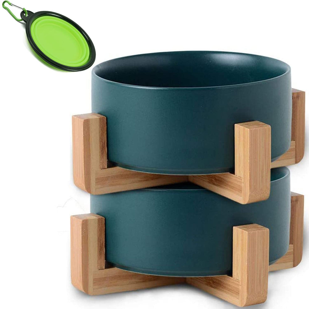 Bol céramique Petygooing avec support vert, stabilité renforcée pour les repas.