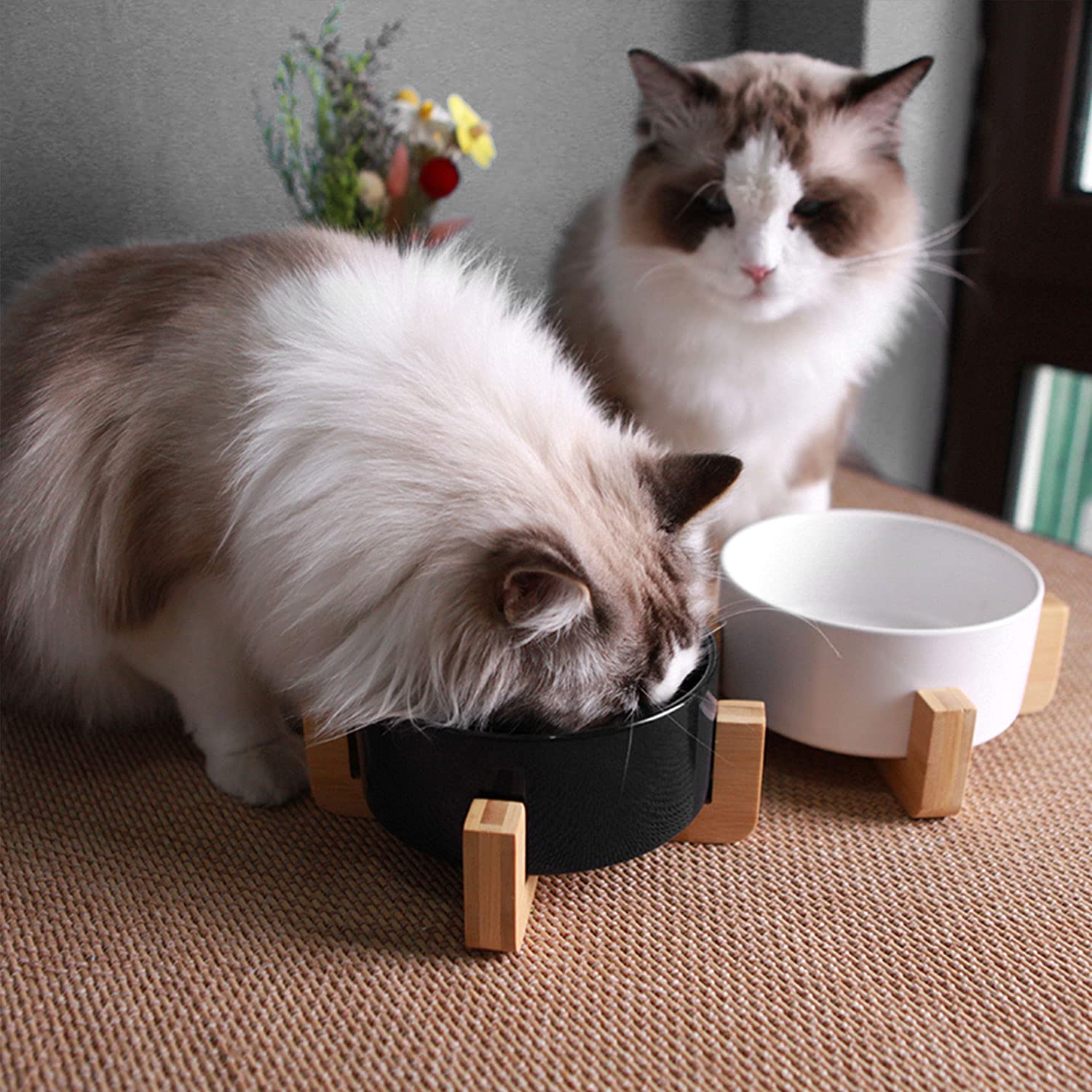 Double bols Petygooing avec support relevé pour nourriture et eau.
