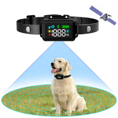 Collier GPS Petyida pour chiens délimitant précisément le périmètre.