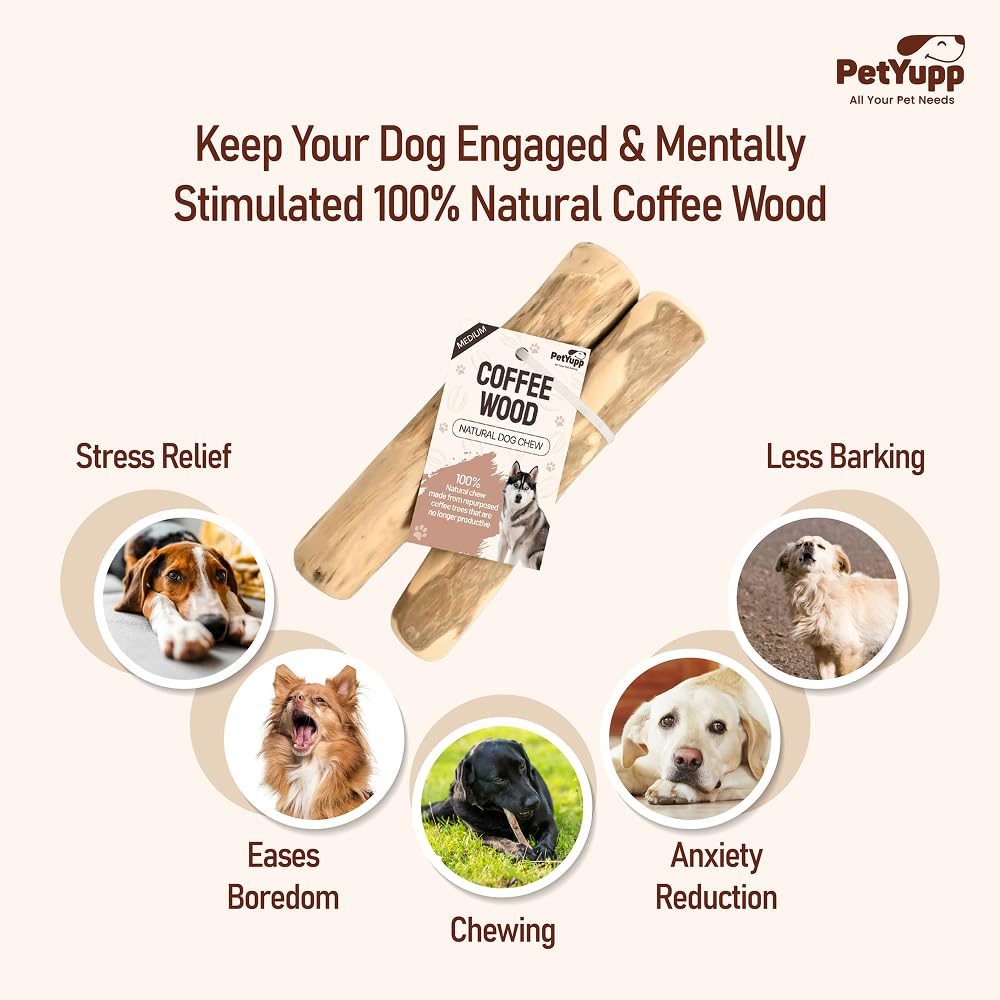 PetYupp baton bois cafe dentition — favorise le frottement et le nettoyage des dents.