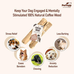 PetYupp baton bois cafe dentition — favorise le frottement et le nettoyage des dents.