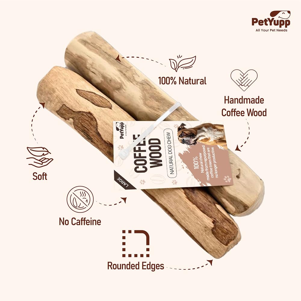 Petyupp bois cafe baton dentaires pour gros chien, durable et sûr.