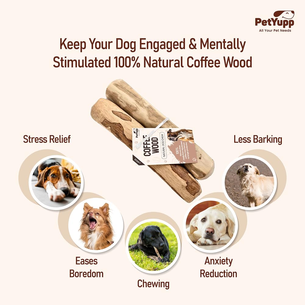 Petyupp baton bois cafe durabilite pour mâchoires puissantes et longue mastication.