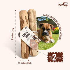 Petyupp baton bois cafe sans cafeine: option sûre pour chiens forts.