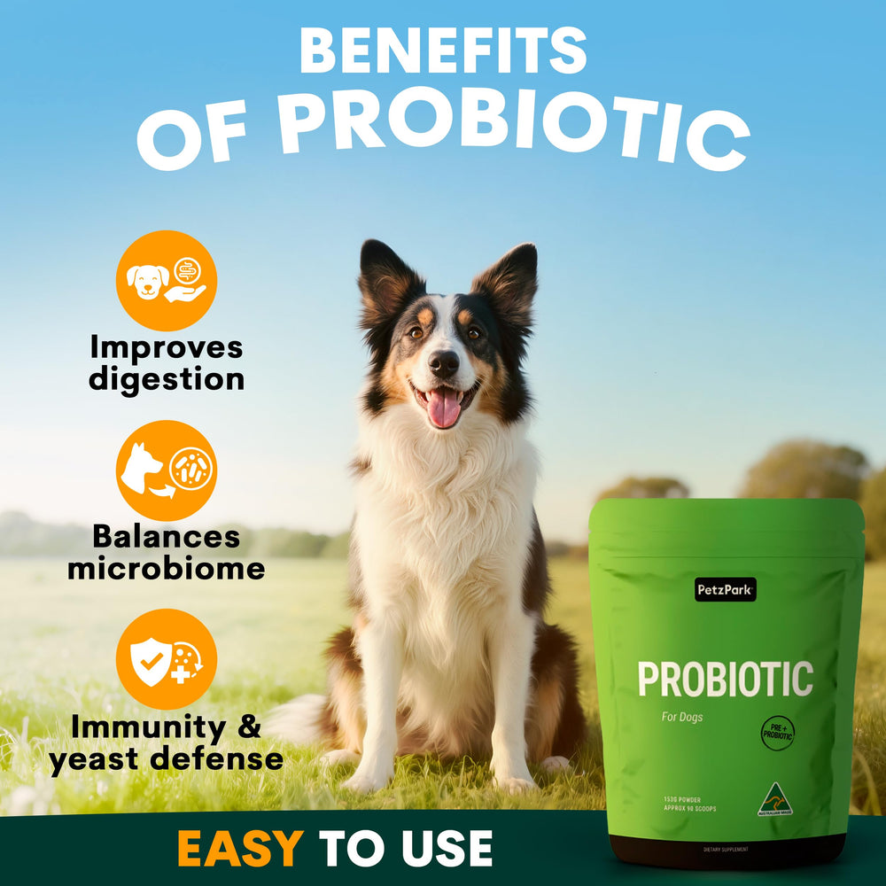 Petz Park Probiotique haleine fraîche — peut favoriser une haleine plus fraîche.