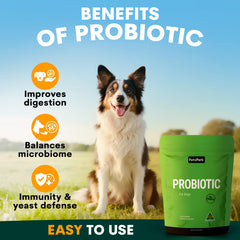 Petz Park Probiotique haleine fraîche — peut favoriser une haleine plus fraîche.