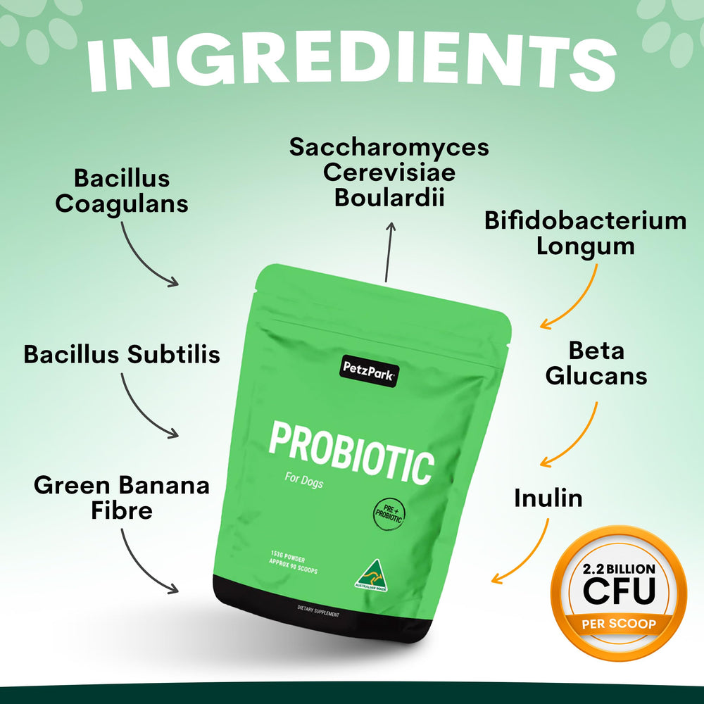 Petz Park Probiotique selles et glandes anales — soutien potentiel des selles et de l’équilibre intestinal.