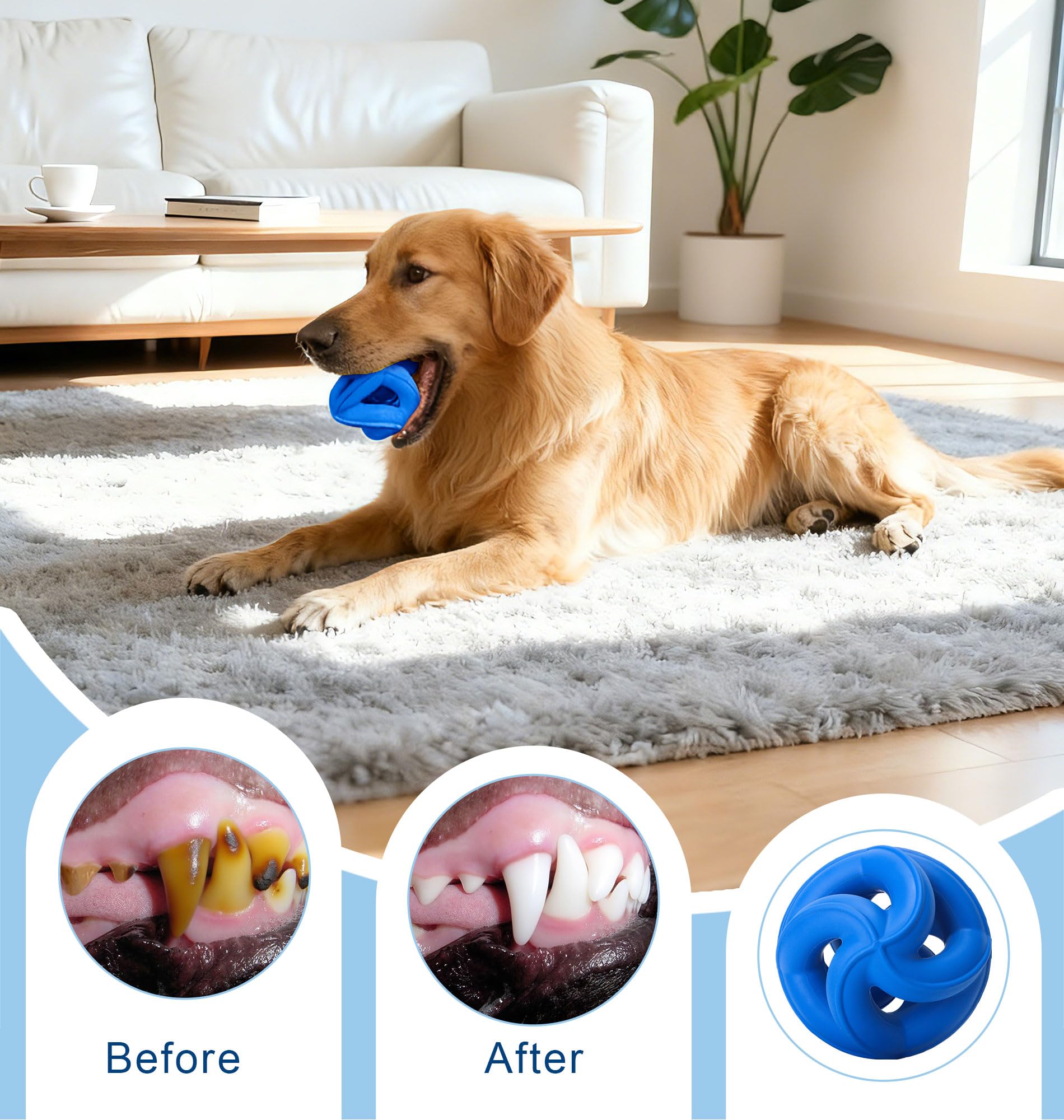 Jouet PetZee pour dentition, aide à apaiser les gencives des chiots.
