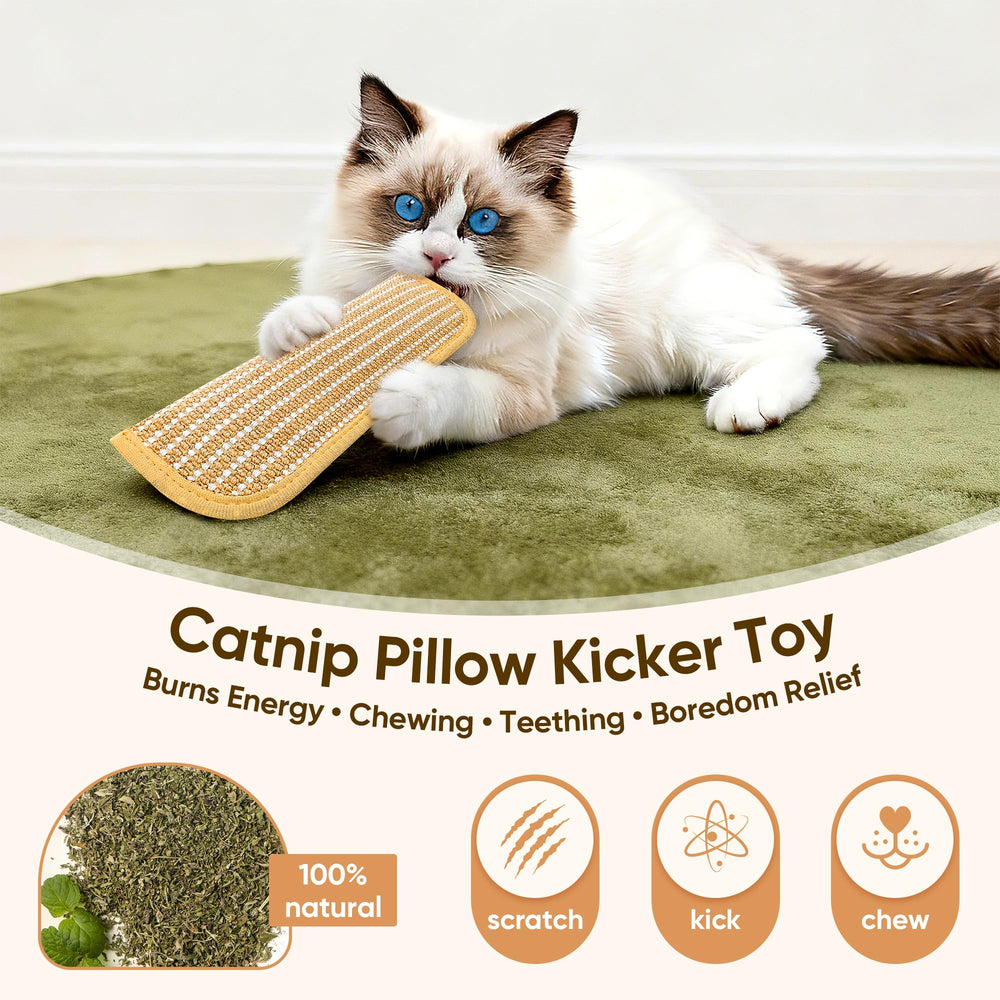PetZen Garden – jouet interactif catnip pour chats et chatons
