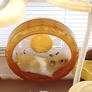 PETZHUBO cage hamster 3 niveaux adaptée petits animaux, cadeau idéal.