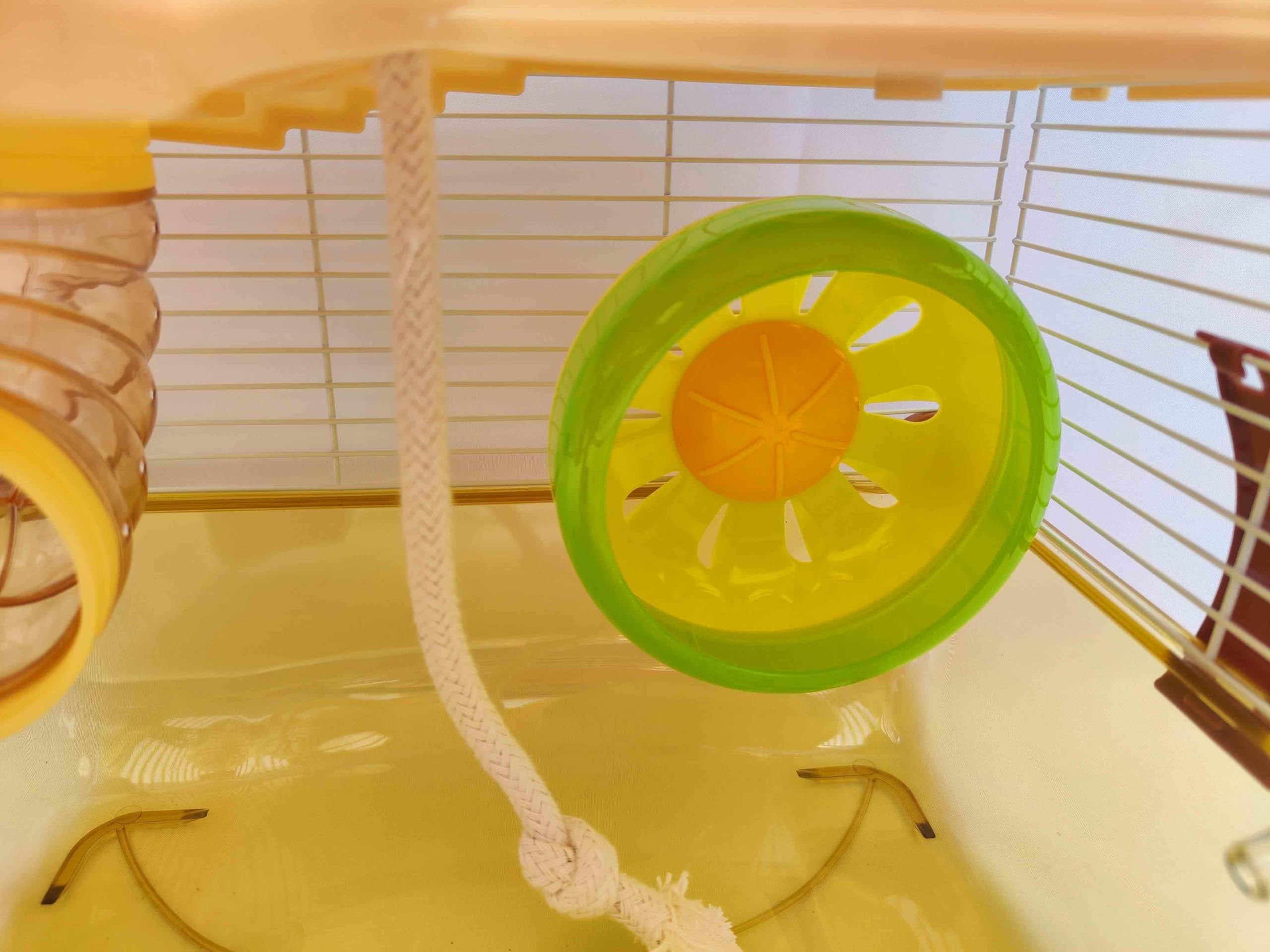 PETZHUBO cage hamster mini — ensemble d’accessoires inclus pour démarrer.