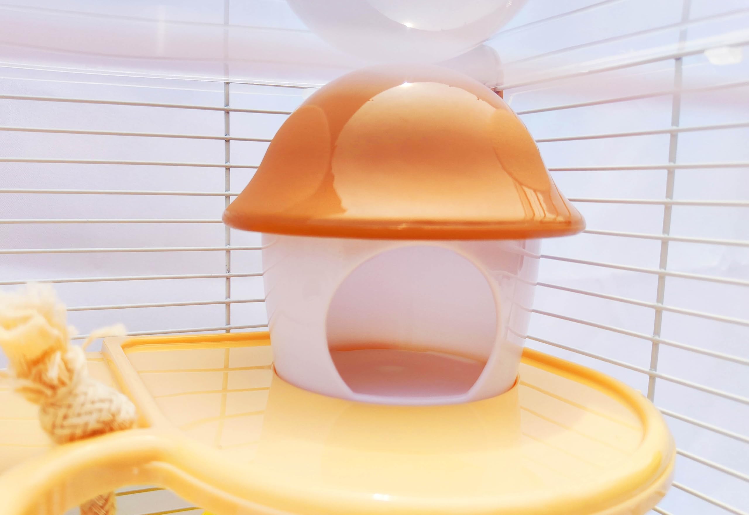 Cage PETZHUBO adaptée pour petits rongeurs et usages variés.