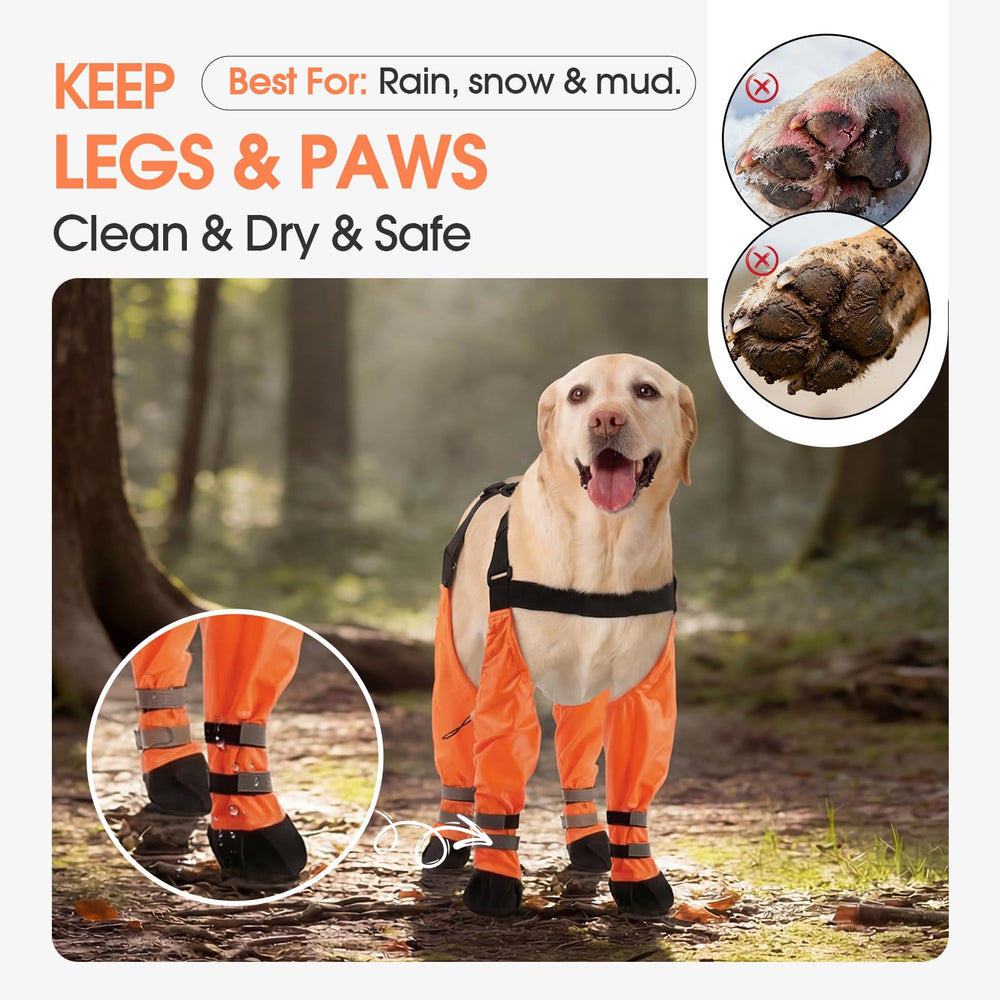 Pezluxe bottes-chien attache-reglables garantissant ajustement.