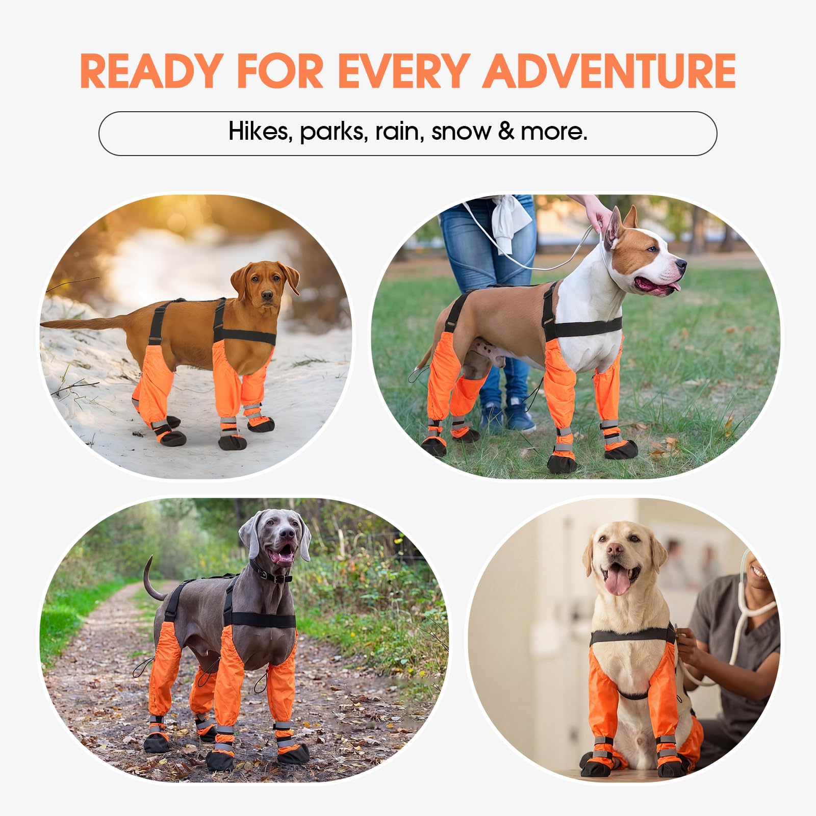 Pezluxe bottes-chien securite-360 reflect pour visibilité.