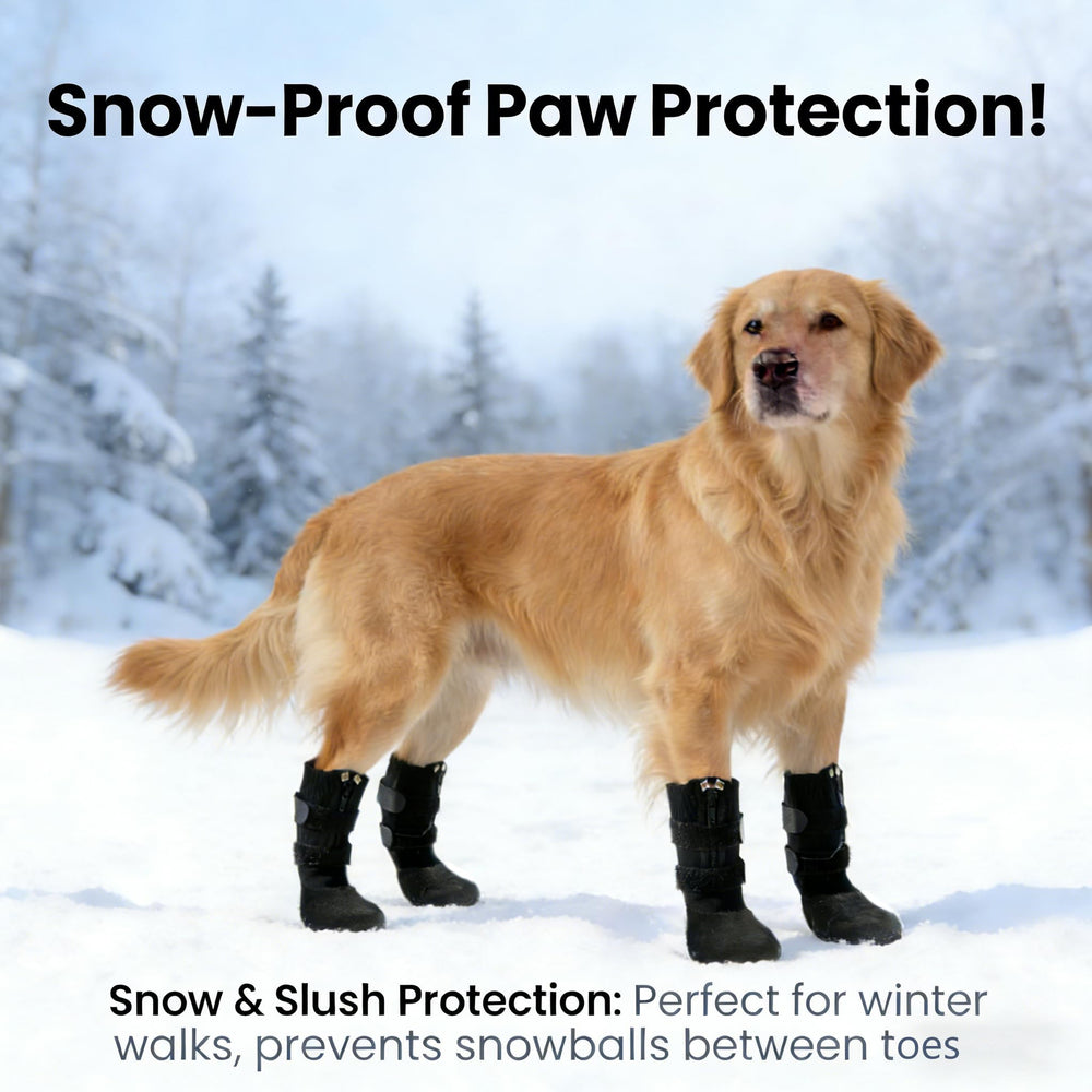 Phaechild bottes chien confort respirant, air frais pendant longues sorties.