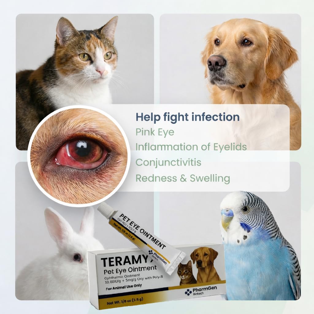Pommade oculaire Pharmgen Biotech Chat — application facile pour les yeux sensibles.