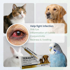 Pommade oculaire Pharmgen Biotech Chat — application facile pour les yeux sensibles.