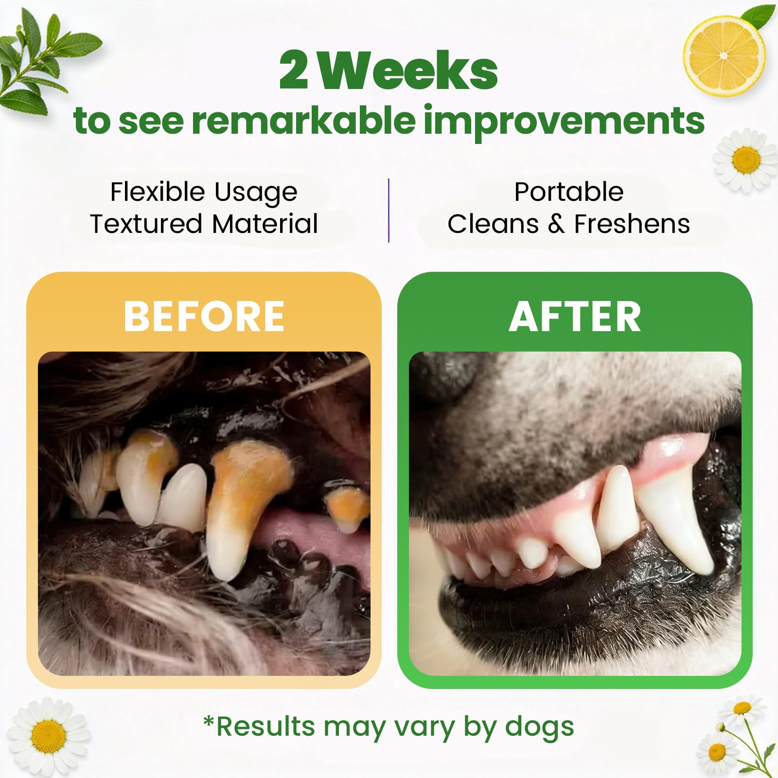PHASORRA alternatives dentifrice, sans irritation pour papilles sensibles.