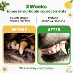 PHASORRA alternatives dentifrice, sans irritation pour papilles sensibles.