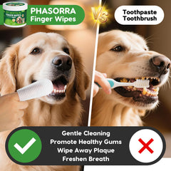PHASORRA brosse dentaire, nettoyage en profondeur et doux.