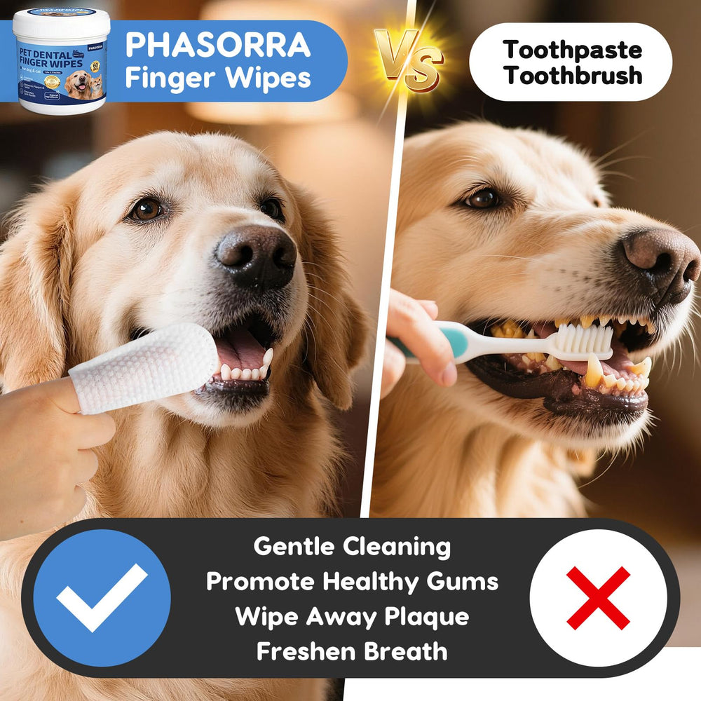 PHASORRA lingettes dentaires animaux, usage rapide pour enlever résidus et tartre.
