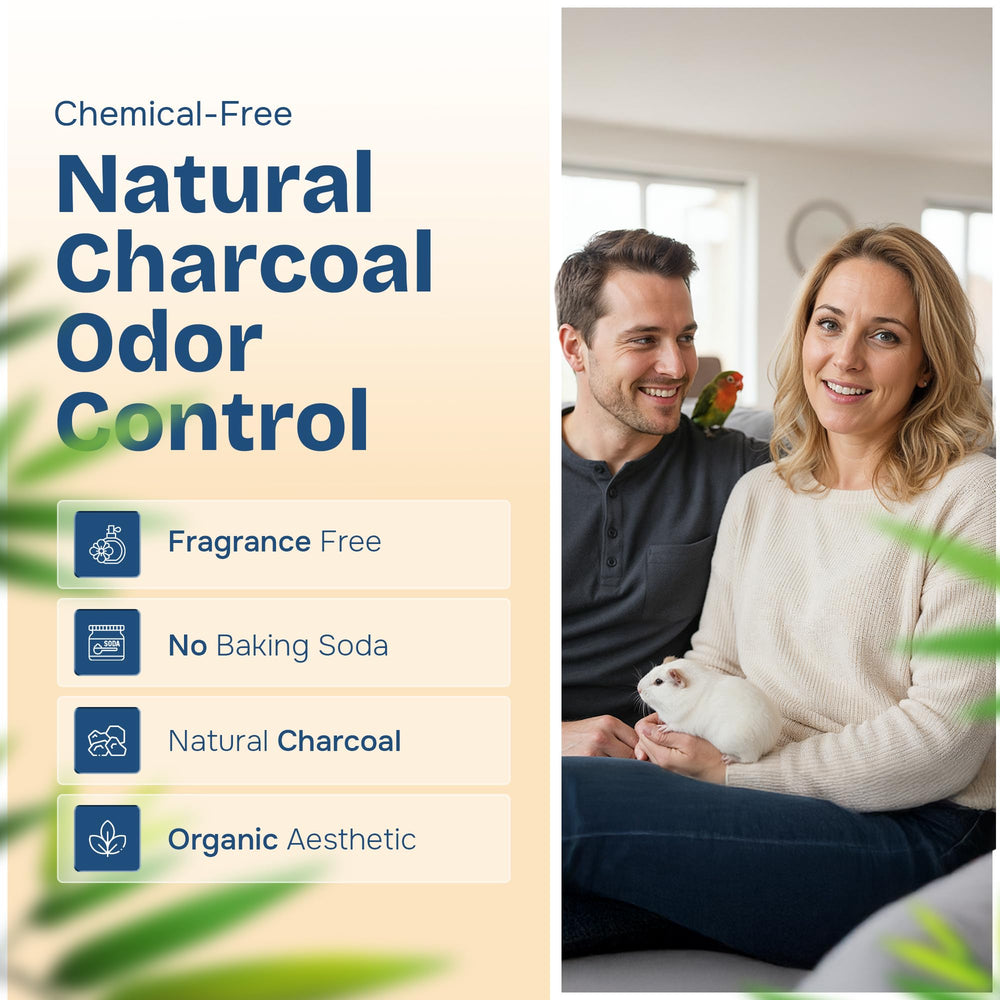 PHOBA Charbon Bambou — sans parfum ni bicarbonate, déodorant naturel.