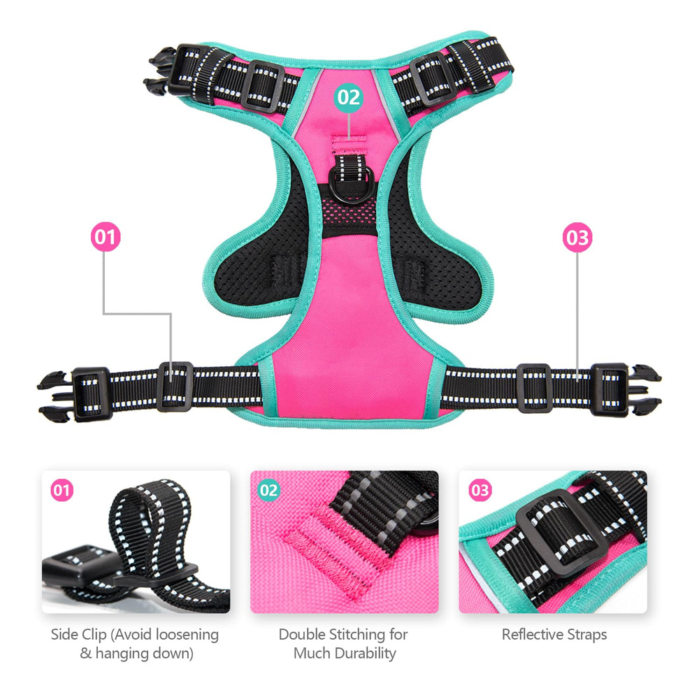 Anneaux métalliques Phoepet pour laisse, durables et faciles à attacher.