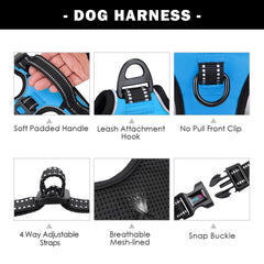 Harnais PHOEPET bleu avec 3 boucles et anneaux métalliques