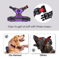 PHOEPET harnais-chien-anneaux-attache-double, double option d’attache pour la laisse.