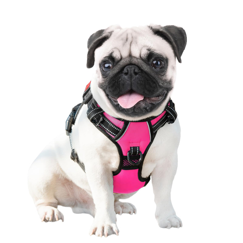 PHOEPET harnais confortable et ajustable pour promenade