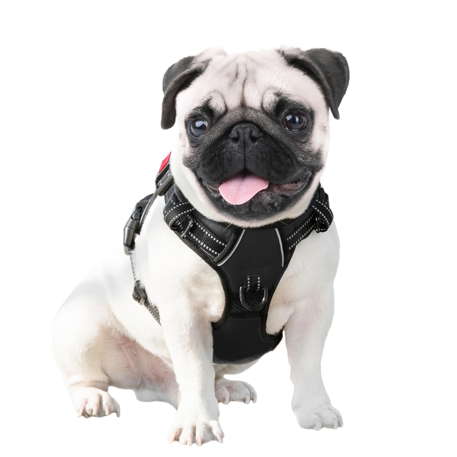 PHOEPET harnais chien moyen noir, taille M adaptée.