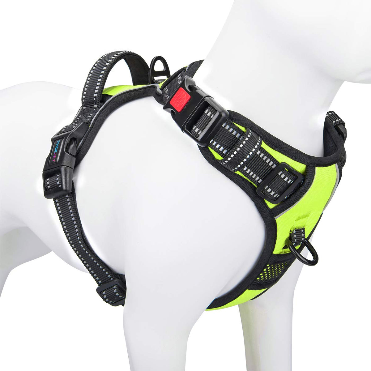 PHOEPET harnais petit chien – avant attache pour limiter le tirage lors des promenades.