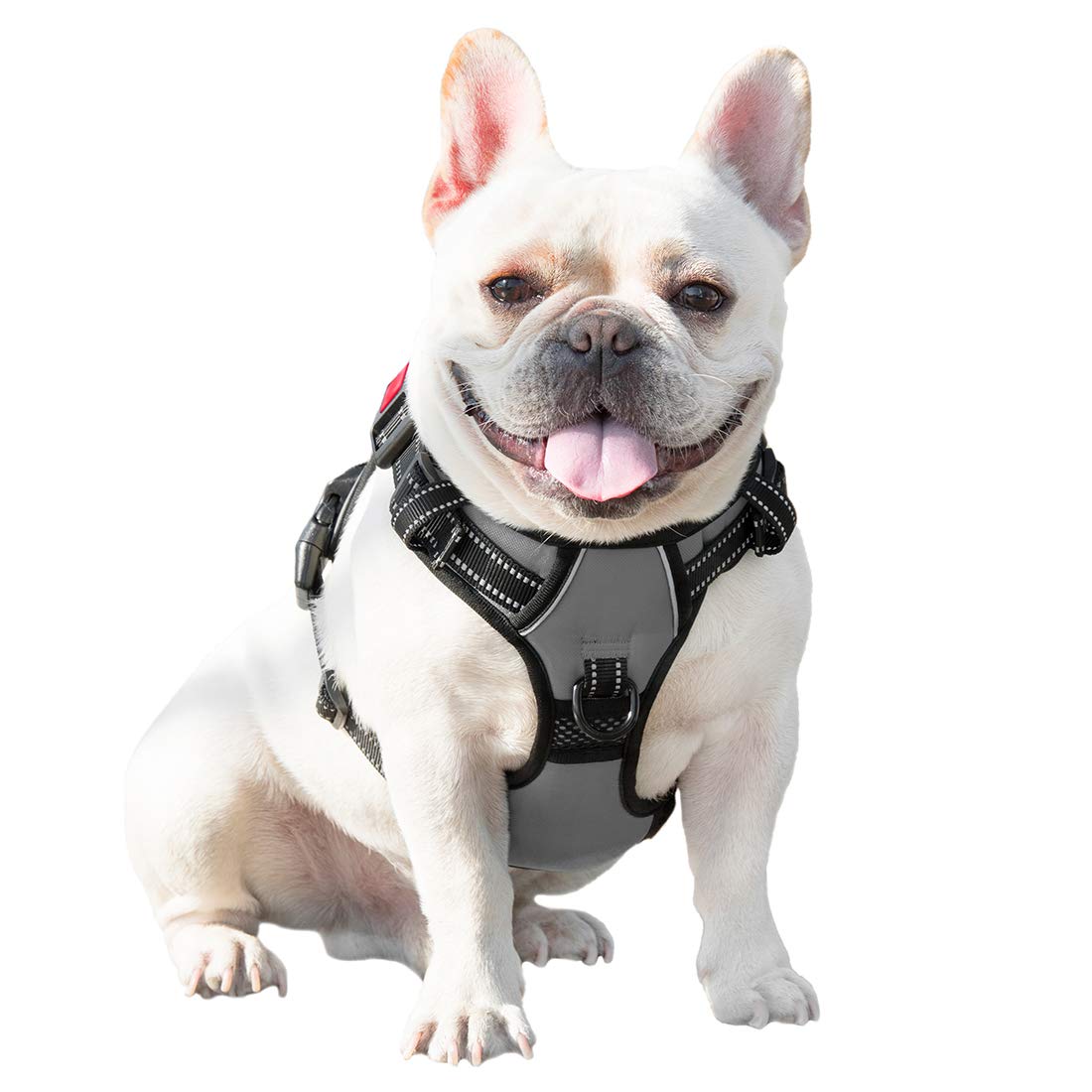 PHOEPET Service client réactif et options de remplacement si nécessaire.