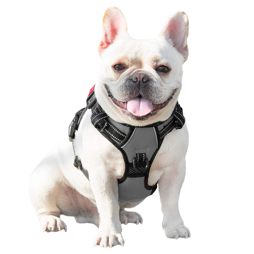 PHOEPET harnais taille L gris, adapté au chien moyen et facile à mettre.