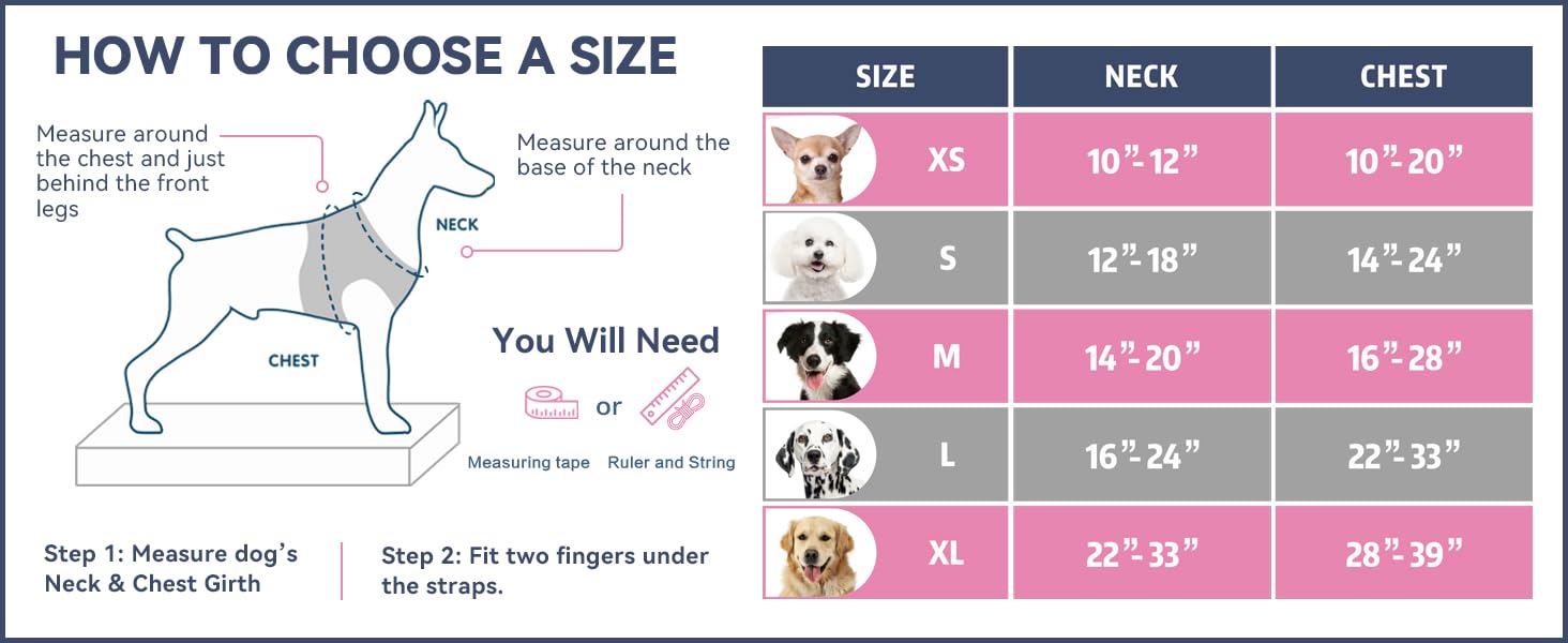 PHOEPET harnais chien taille moyenne adaptée à plusieurs morphologies.