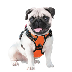 Poignée arrière pratique du harnais PHOEPET pour aider le chien.