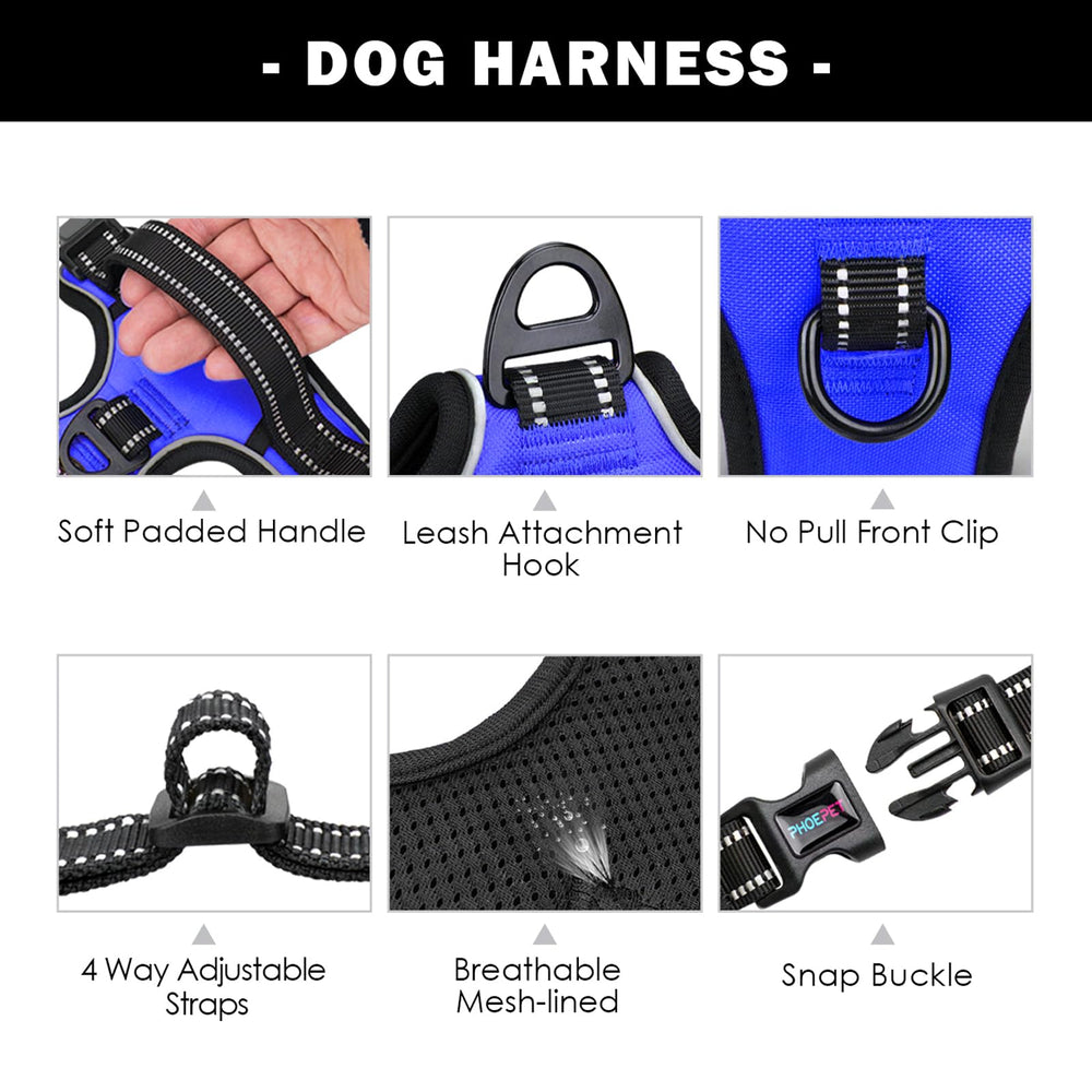 PHOEPET harnais réfléchissant bleu royal, visibilité améliorée au crépuscule.