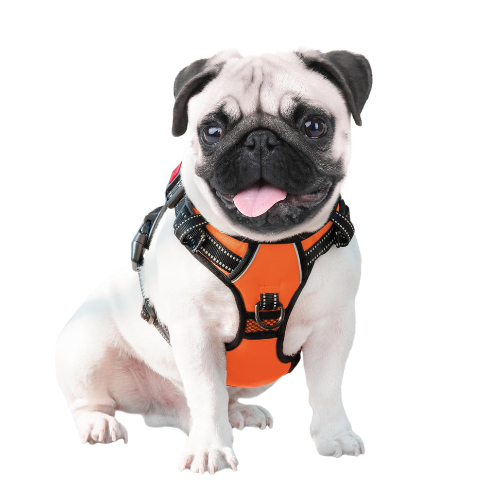 PHOEPET harnais grand format orange, sécurité accrue en extérieur.