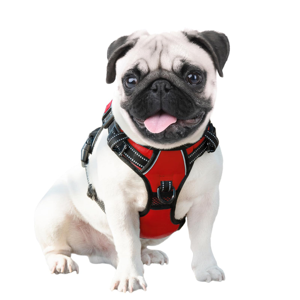PHOEPET Harnais grande taille XL rouge, design confortable.