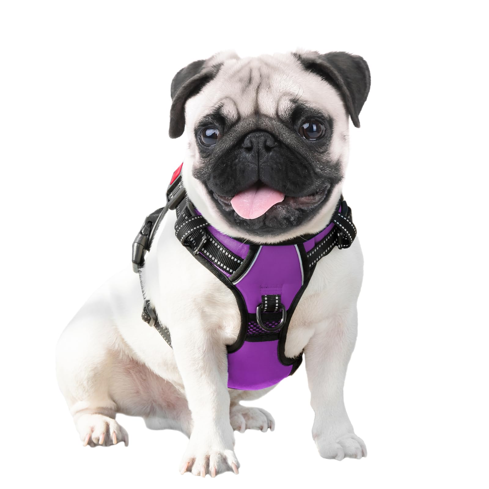 PHOEPET service-client-remplacement-inclus, garantie satisfaction.