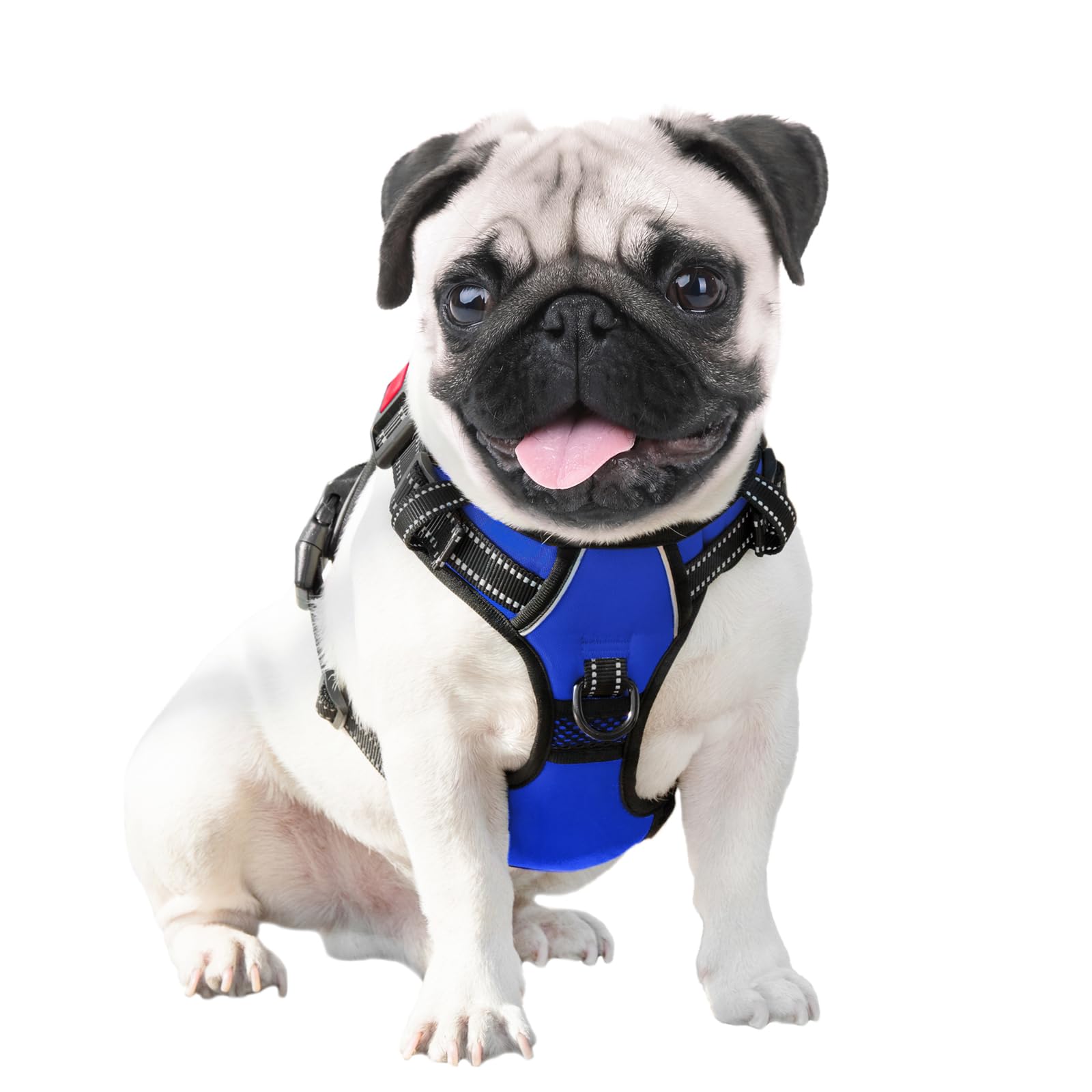 PHOEPET harnais taille XL bleu royal adapté aux chiens moyens