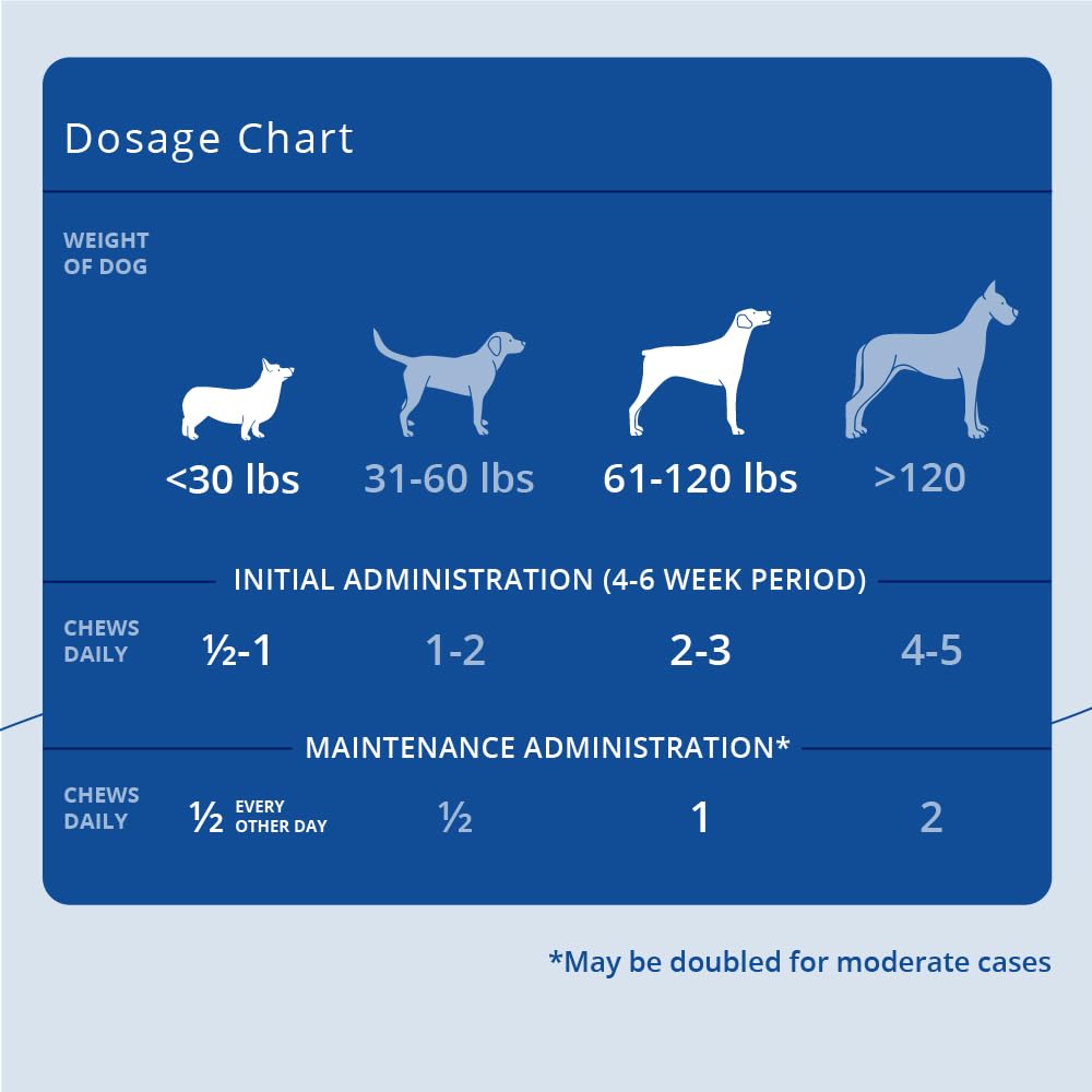 Phycox antioxydants chien: mélange de nutriments pour la protection cellulaire.