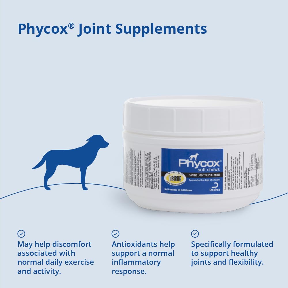 Phycox creatine monohydrate chien: composant pour soutenir l'énergie et la mobilité.